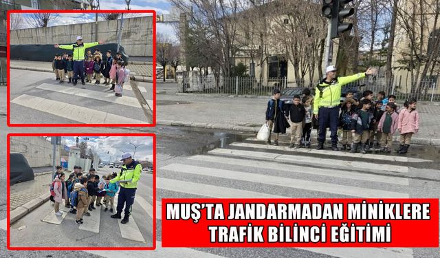 Muş'ta jandarmadan öğrencilere uygulamalı yaya geçidi eğitimi