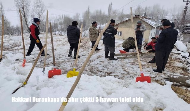 Durankaya’da ahır faciası: 5 hayvan telef