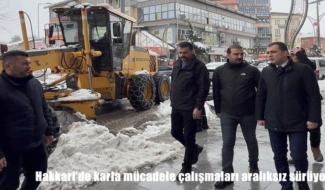 Hakkari'de karla mücadele çalışmaları aralıksız sürüyor