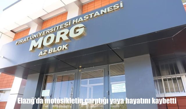 Elazığ’da feci kaza: Motosikletin çarptığı kadın hayatını kaybetti