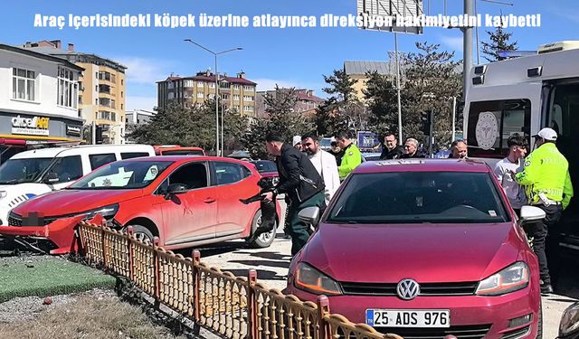 Erzurum’da araç içerisindeki köpek kazaya neden oldu