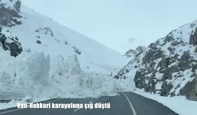Van-Hakkari Karayolunda çığ: Çok sayıda araç yolda mahsur kaldı