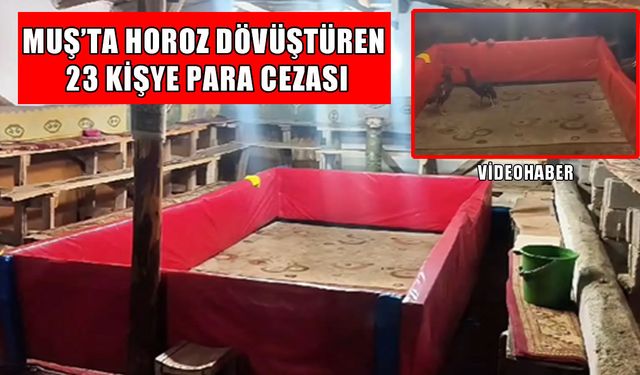 Muş’ta horoz dövüşü operasyonu: 23 kişiye para cezası