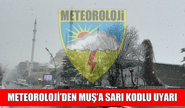 Muş için ‘Sarı Kod’lu uyarı: Yoğun kar yağışı geliyor