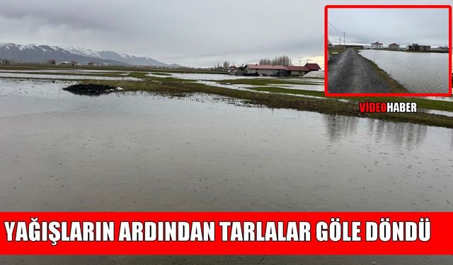 Muş Ovası’ndaki araziler suyla kaplandı