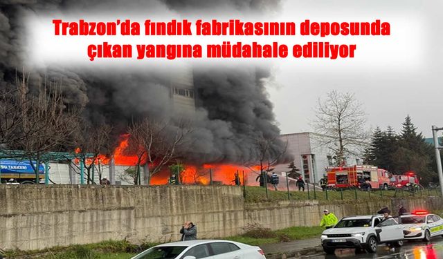 Trabzon’da Fabrika Deposu Alev Alev Yandı