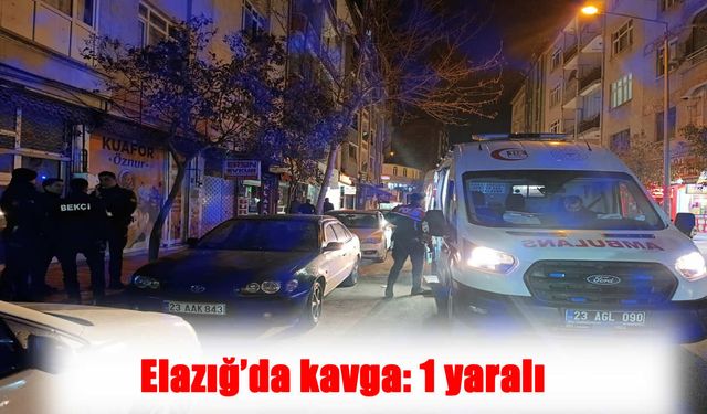 Elazığ’da Sokak Ortasında Kavga