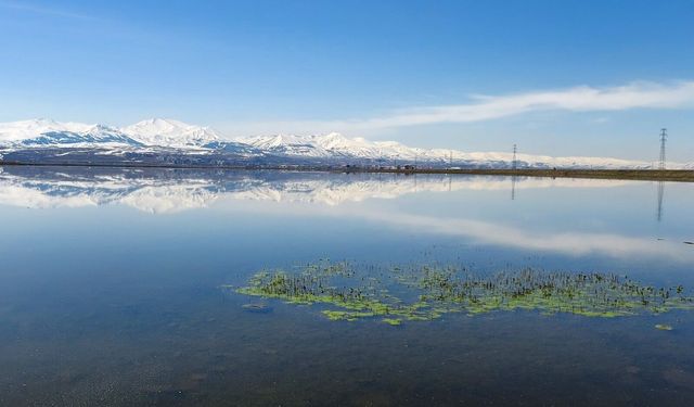Meteorolojiden Doğu Anadolu’ya Zirai Don Uyarısı