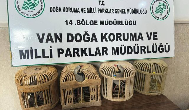 Van Gevaş’ta Keklik Avına 86 Bin 278 Lira Ceza