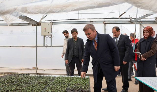 Erzincan Fide Üretiminde Bölgenin Zirvesine Yerleşti