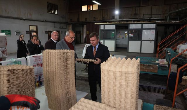 Erzincan’dan Türkiye’ye Yumurta Viyolü Üretimi