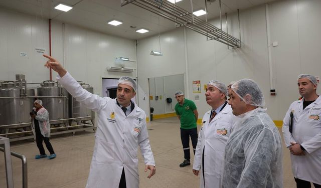 Türkiye’nin Dört Bir Yanından Gelen Ballar Erzincan’da İşleniyor