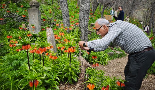 Doğaseverler 1700 Kilometre Yol Kat Edip Bu Güzelliği Görmeye Geldi