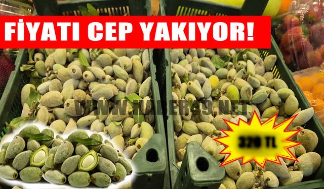 Muş’ta baharın ilk meyvesi çağla cep yakıyor: Kilosu 320 TL