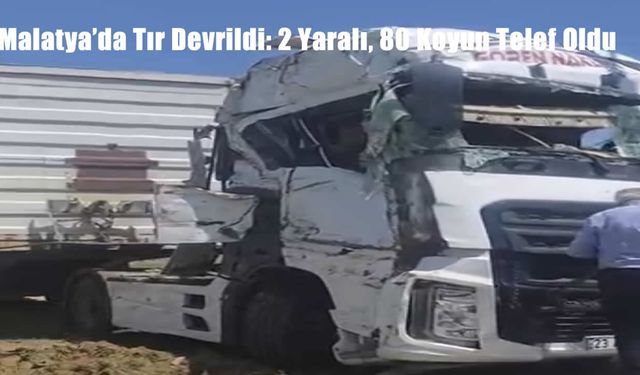 Malatya’da Tır Devrildi: 2 Yaralı, 80 Koyun Telef Oldu