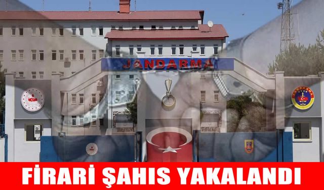 Muş’ta firari hükümlü jandarma operasyonuyla yakalandı
