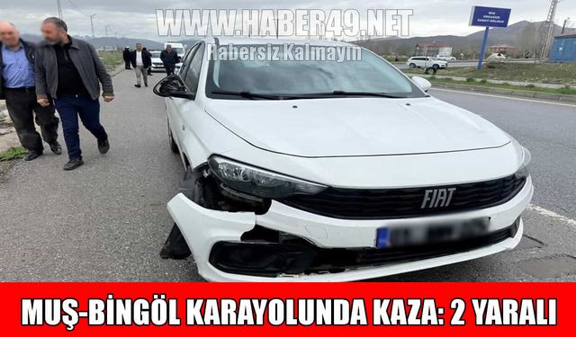 Muş-Bingöl kara yolunda kaza: Amca ve yeğeni yaralandı