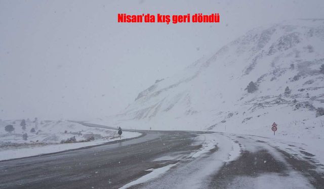 Erzincan’da kar ve tipi hayatı felç etti