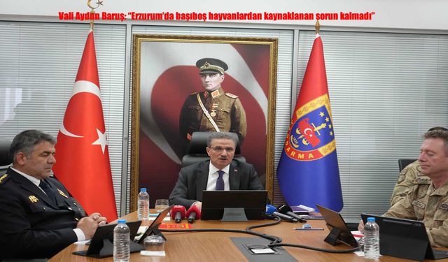 Erzurum’da başıboş hayvan sorunu tarihe karıştı