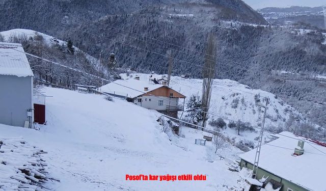Gece başlayan kar yağışı Posof’u beyaza bürüdü