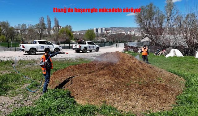 Elazığ’da Haşereyle Mücadele Baharda Yoğunlaştı