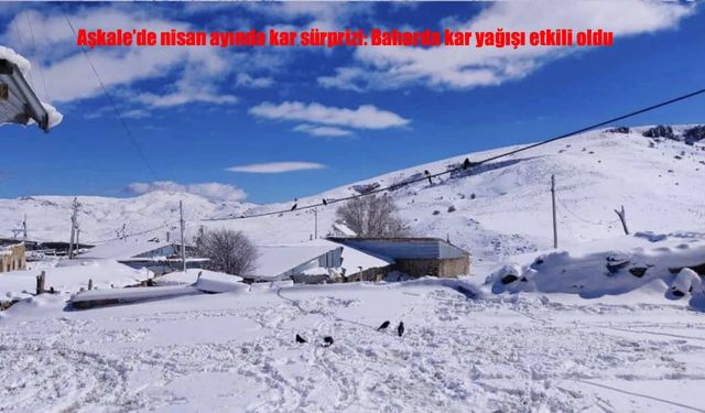 Aşkale’de nisan ayında kar sürprizi