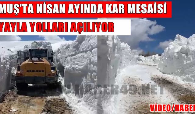Muş’ta yayla yollarında karla mücadele sürüyor