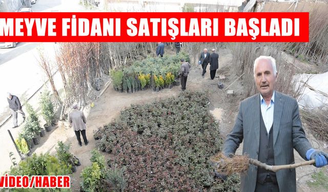 Muş’ta meyve fidanı satışları başladı: 30 çeşit ürün tezgâhlarda yerini aldı