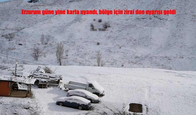 Erzurum Güne Karla Uyandı