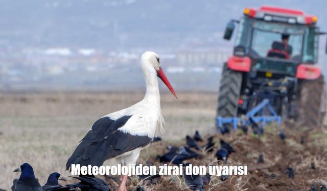 Meteorolojiden Zirai Don Uyarısı