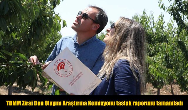 Zirai Don Olayı İçin 420 Sayfalık Meclis Raporu Tamamlandı