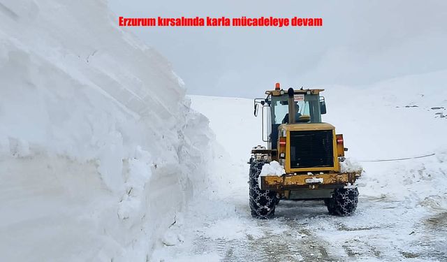 Erzurum kırsalında karla mücadele sürüyor