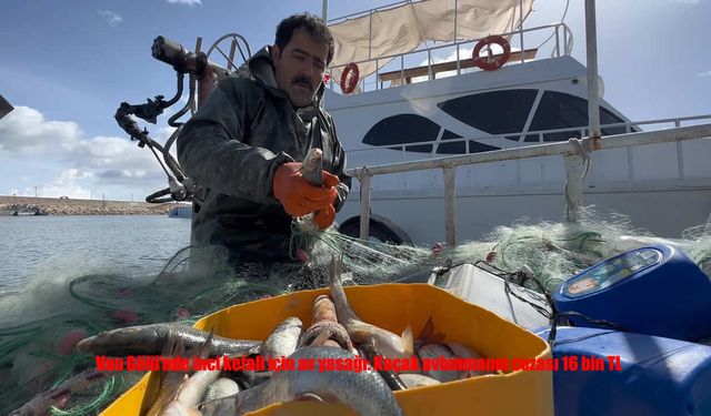 Van Gölü’nde İnci Kefali İçin Av Yasağı Başladı