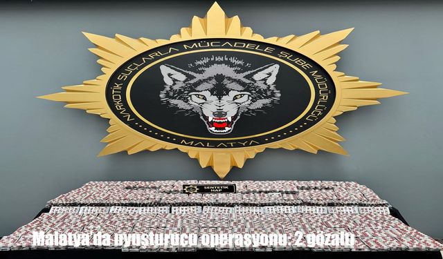 Malatya'da uyuşturucu operasyonu: 2 gözaltı