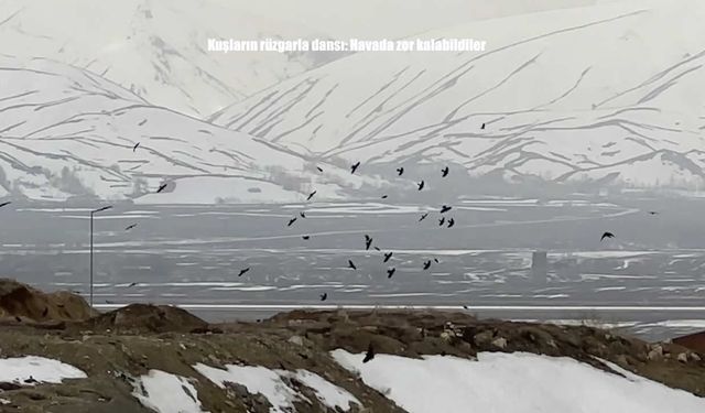 Hakkari’de doğanın sert yüzü