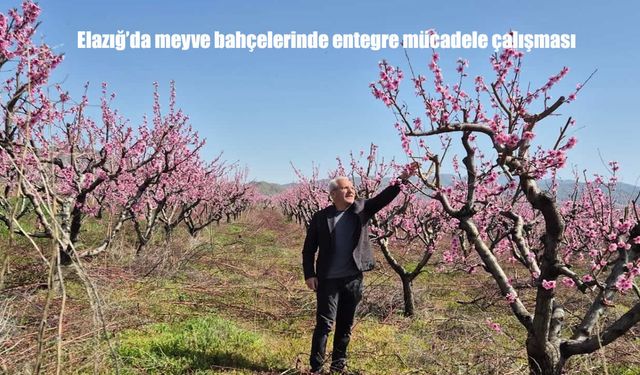 Elazığ’da Elma ve Kayısı Bahçelerinde Kontrol Çalışması