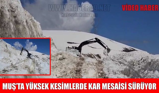 Muş’ta Nisan sonunda yol açma seferberliği