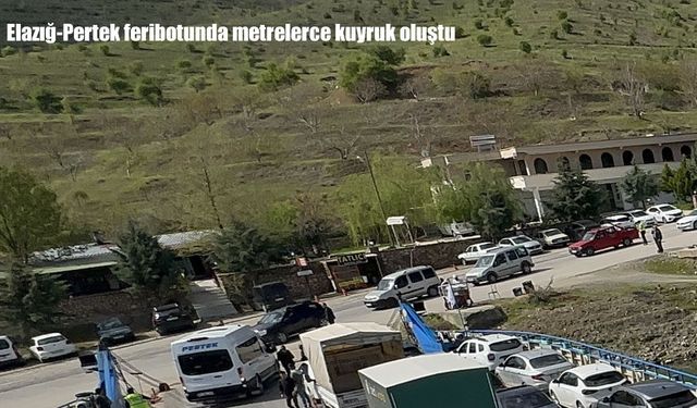 Elazığ-Pertek feribotunda metrelerce kuyruk oluştu