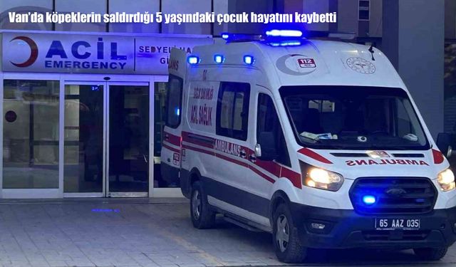 Van’da köpek saldırısı: 5 yaşındaki çocuk hayatını kaybetti