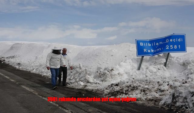 Arıcılar Yol İçin Yüksek Rakımda Eylem Yaptı