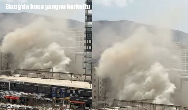 Elazığ'da baca yangını korkuttu