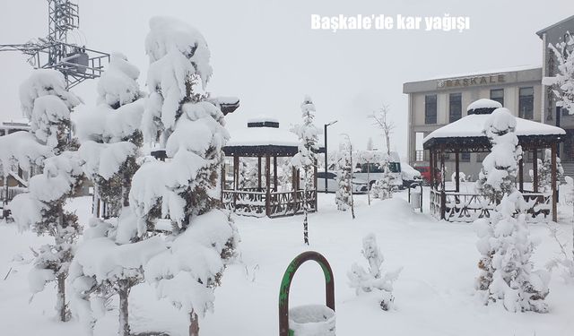 Van’da kar yağışı hayatı olumsuz etkiledi