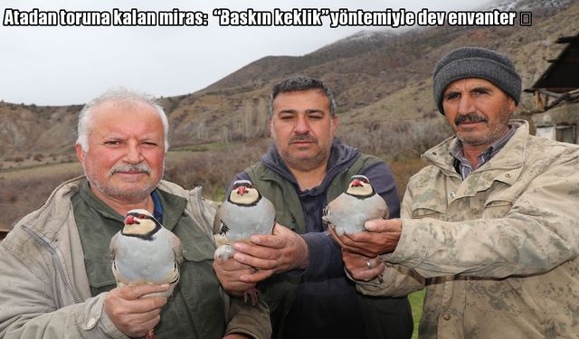 Erzurum’da “Baskın Keklik” yöntemi: 350 keklik işaretlenip doğaya salındı