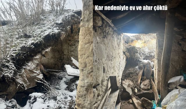 Ardahan’da kar yağışı nedeniyle ev ve ahır çöktü