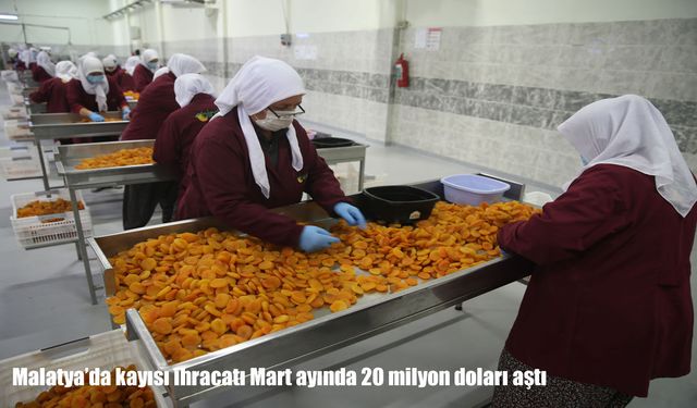 Malatya kayısı ihracatında mart rekoru: 20 milyon dolar aşıldı