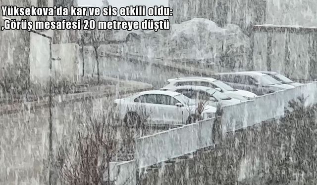 Yüksekova Beyaza Büründü: Görüş mesafesi 20 metreye kadar düşürdü
