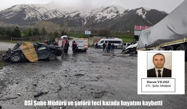 Bitlis’teki feci kazada DSİ Şube Müdürü ve şoförü hayatını kaybetti