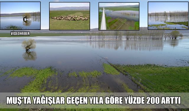 Muş’ta yağışlar yüzde 200 arttı: Son 20 yılın zirvesi