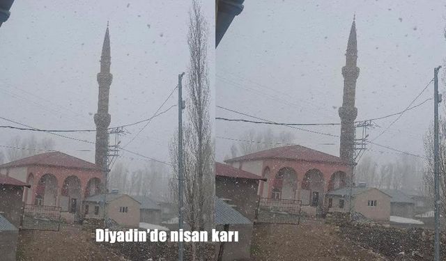 Ağrı’da Nisan Sürprizi: Diyadin’de Kar Yağışı Etkili Oldu
