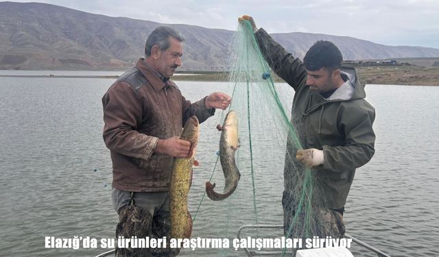 Elazığ’da su ürünleri araştırma çalışmaları sürüyor